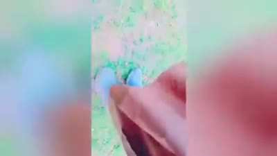 Pakistani Tiktoker gun &ldquo;prank&rdquo; goes horribly wrong