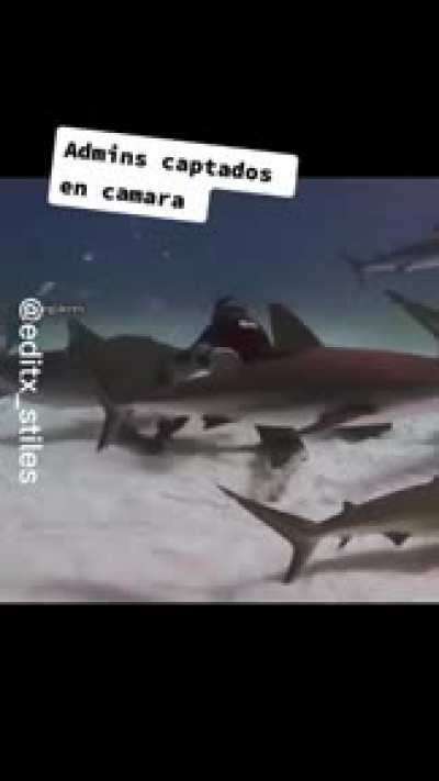 Qual &eacute; a musica
