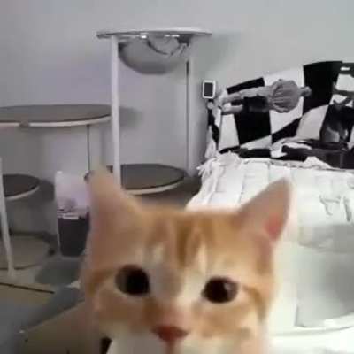 shz/$bBvvgb. ghL