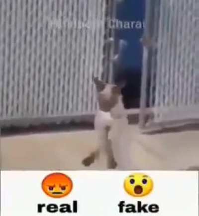 Real 😲😲