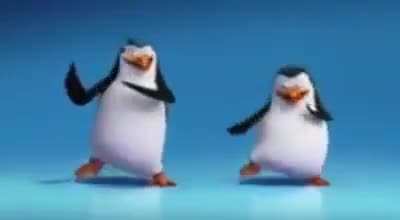 Bom dia grupo❤️