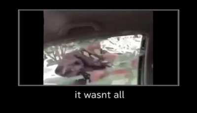 Is that all?