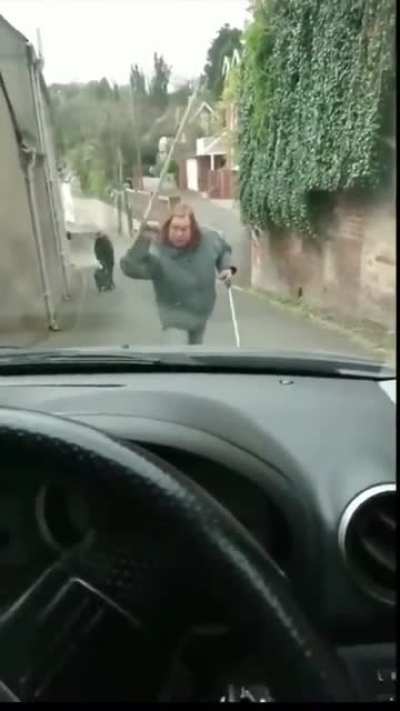 The best video you will watch today