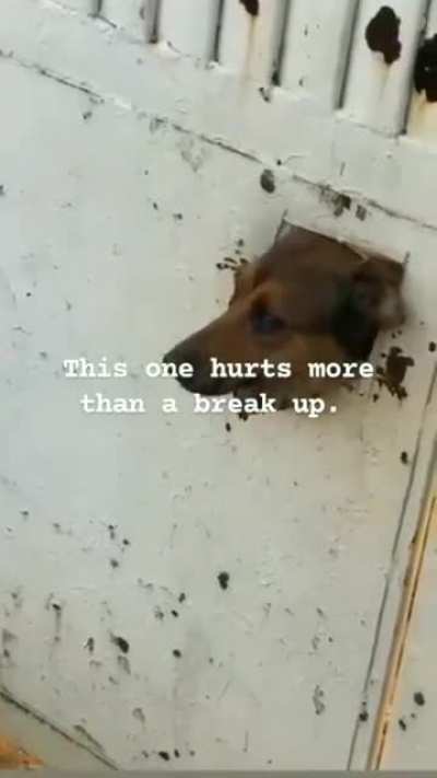 Damn it ain't easy.