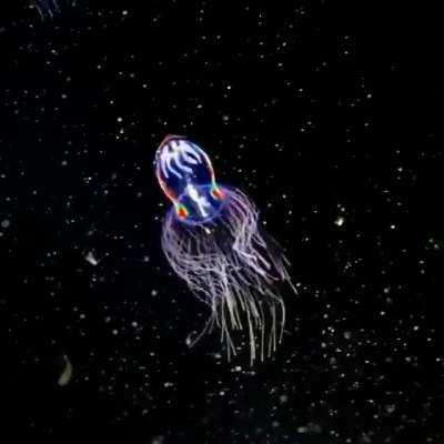 so pretty yet oddly scary