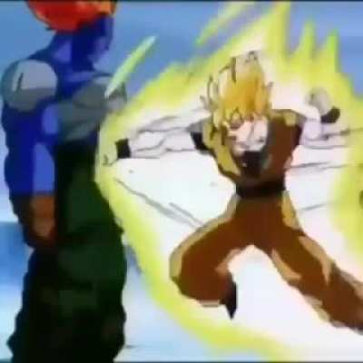 rip goku