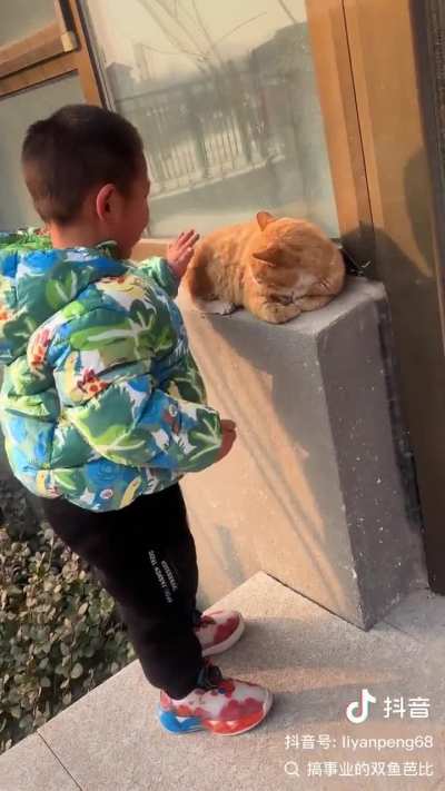 Trying to pet the cat