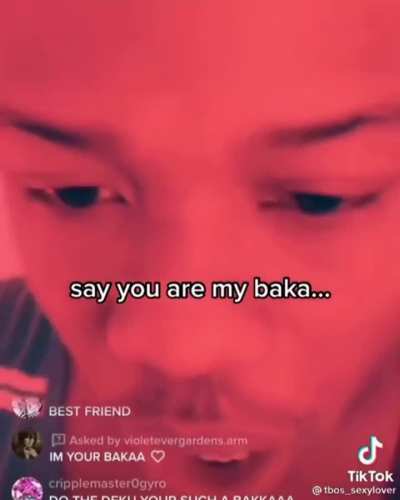 I'm your baka too