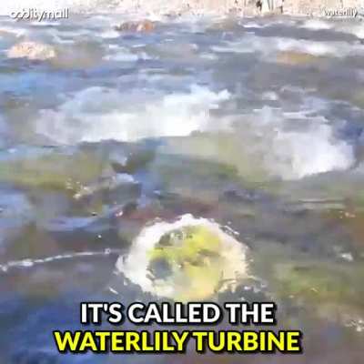 Portable Off-Grid Wind and Water Turbine