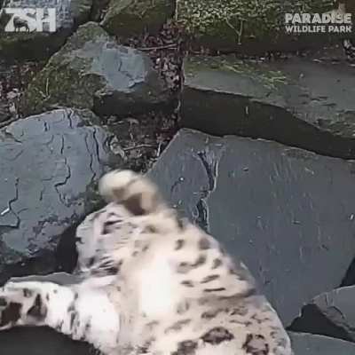 When you start eating food during your zoom but you realize your camera is still on.