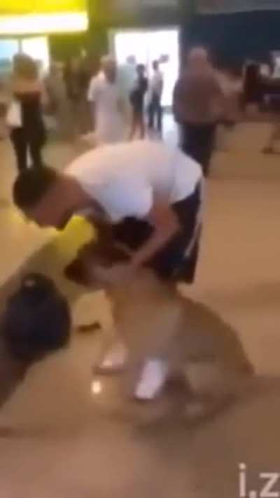 Doggo freaking out after seeing owner in airport for first time in 3 years