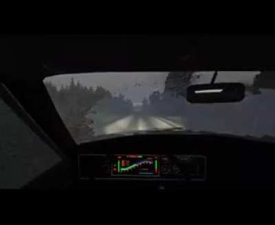 average polish driver