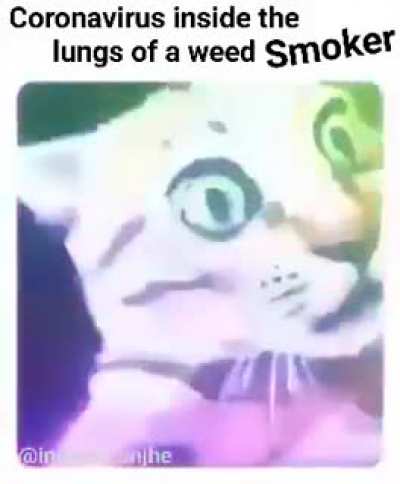 Legit