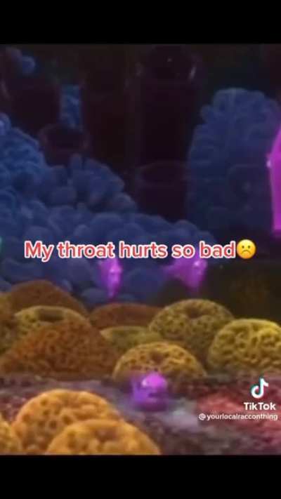 a nice compilation