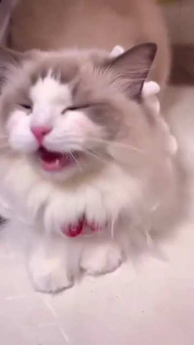 Çok tatlı amk