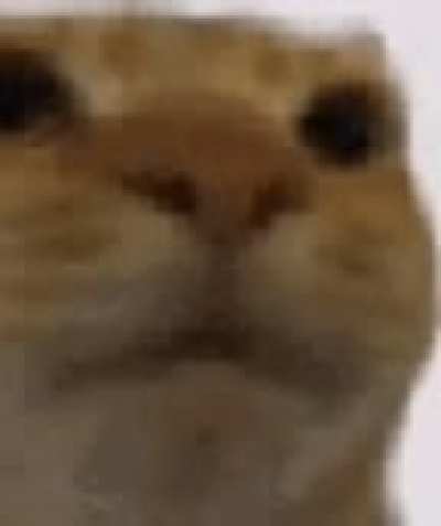 Yes