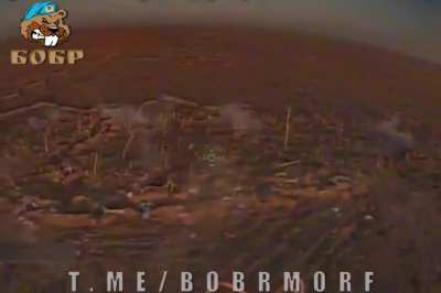 "BOBR" FPV drone scores a direct hit on a running AFU soldier in a treeline, near Robotyne, posted 18.02.2024