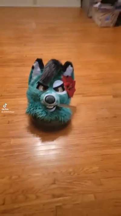 furry_irl