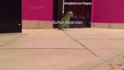 Sultan Alparslan Anadolu'nun kapısını araladıktan sonra sevin&ccedil; kahkaları atıyor