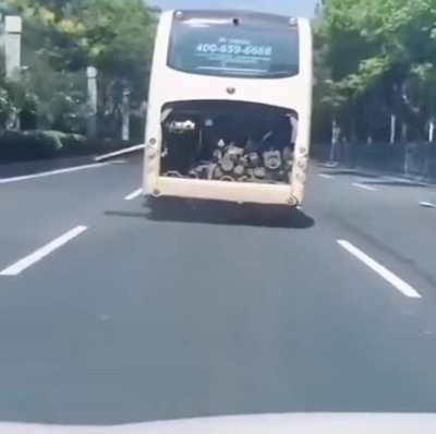 Mesmo estando num transporte p&uacute;blico, festeje!