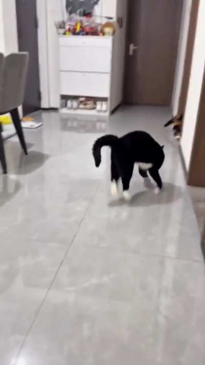 Mission failed successfully