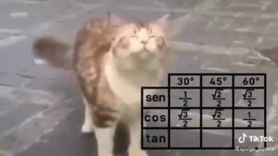 1 2 3, 3 2 1